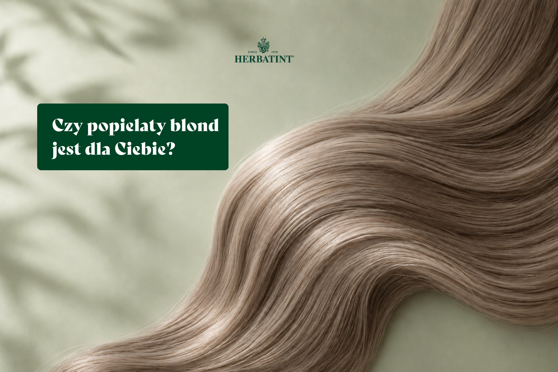 Popielaty blond – jaki to kolor i kto wygląda w nim najlepiej?